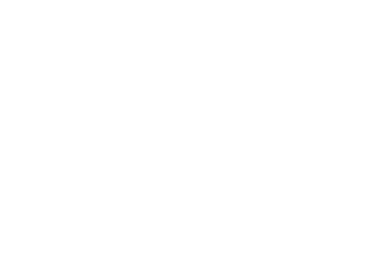 SPIDAS logo